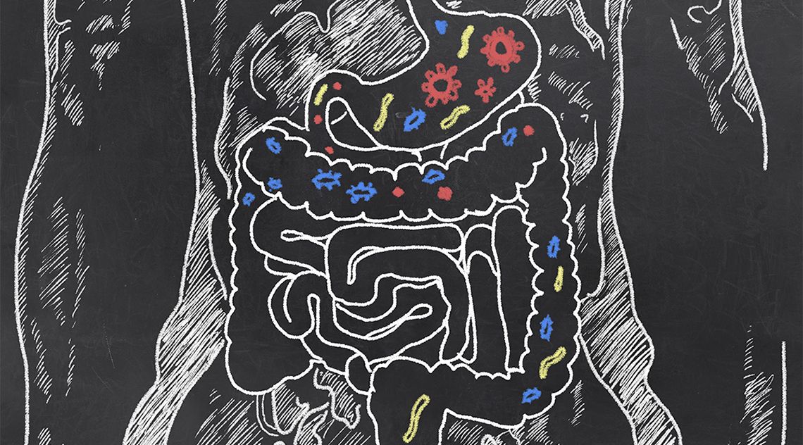 Il microbiota intestinale influenza la nostra salute. L’importanza di alimentazione e stile di vita. Dott.ssa Michela Freddio
