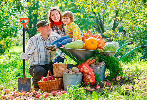 Suggerimenti per mangiare in modo naturale e riconoscere ed evitare i cibi industriali. Dott.ssa Michela Freddio