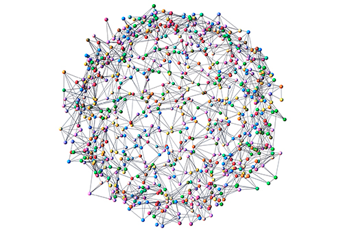 fitta rete di interconnessioni PNEI mantenere il cervello giovane longevità dottoressa Michela Freddio