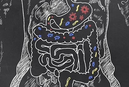 Il microbiota intestinale influenza la nostra salute. L’importanza di alimentazione e stile di vita. Dott.ssa Michela Freddio